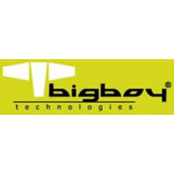 Bigboy Bts426/16G 16 Gb Ddr4 2666Mhz  Server Memory