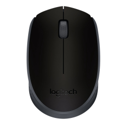 Logitech M171 Siyah Kablosuz Mouse