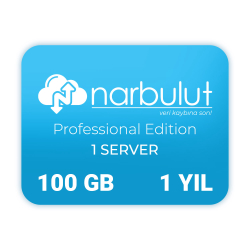 Narbulut Backup Now 100Gb Professional Edition -1 Server - 1 Yil