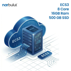 Narbulut Bulut Sunucu Hizmeti - Ecs3 8Core 16Gb Ram 500Gb Ssd 1 Aylık