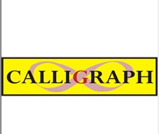 CALLIGRAPH TN-2355 HL-L2365DW, MFC-L2740DW, MFC-L2700DW 2600 SY. SİYAH TONER