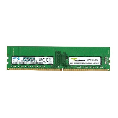 BIGBOY 8GB DDR4 2666MHz CL19 ECC Sunucu Belleği         