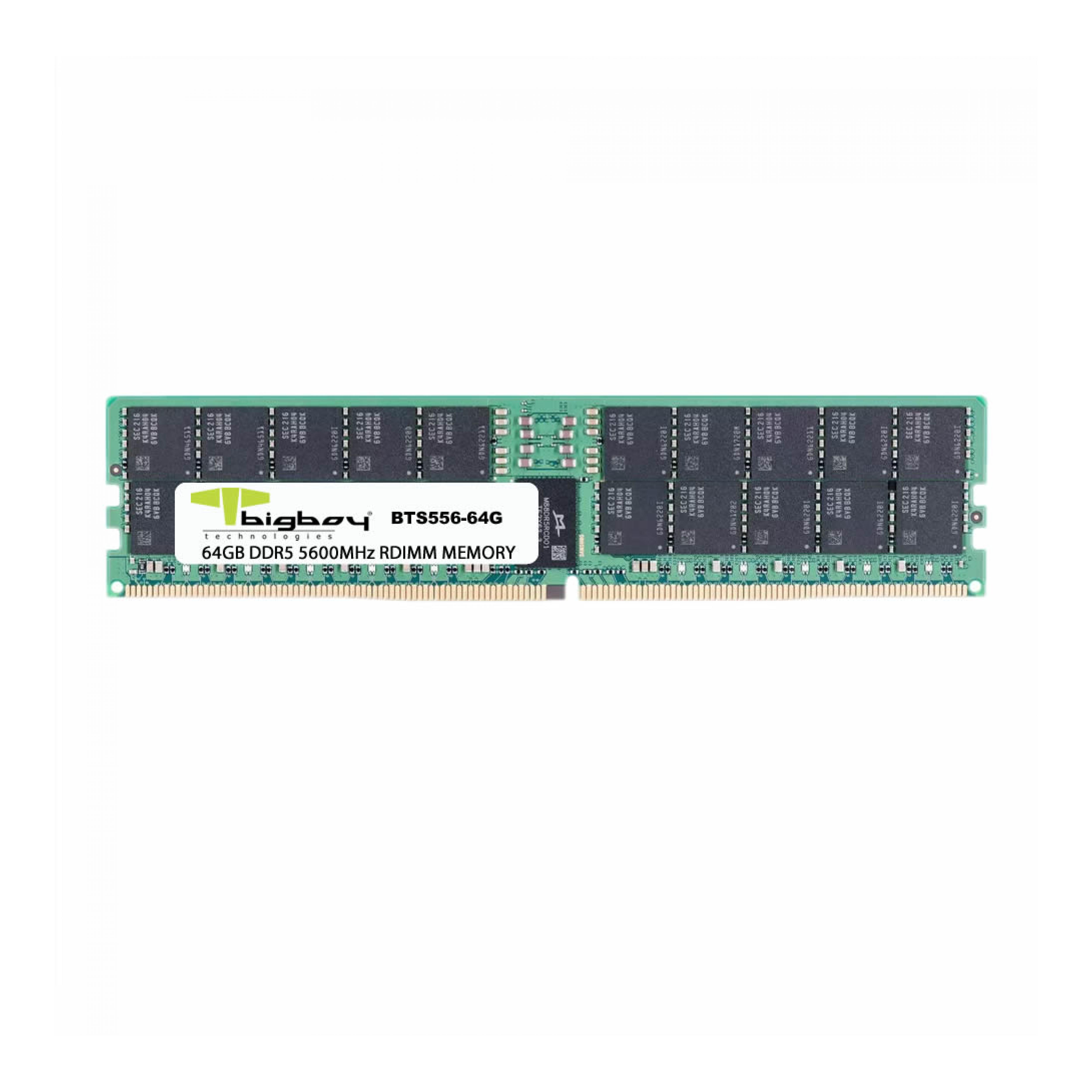 BIGBOY 64GB DDR5 5600MHz CL46 Registered 2Rx8 Sunucu Rami